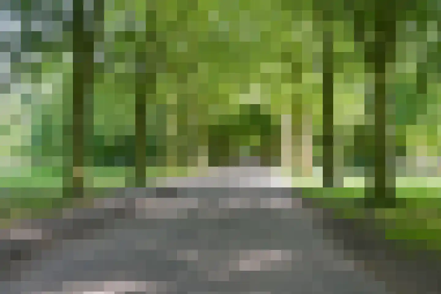Laan van Clingendael 23 Den Haag thumbnail 47