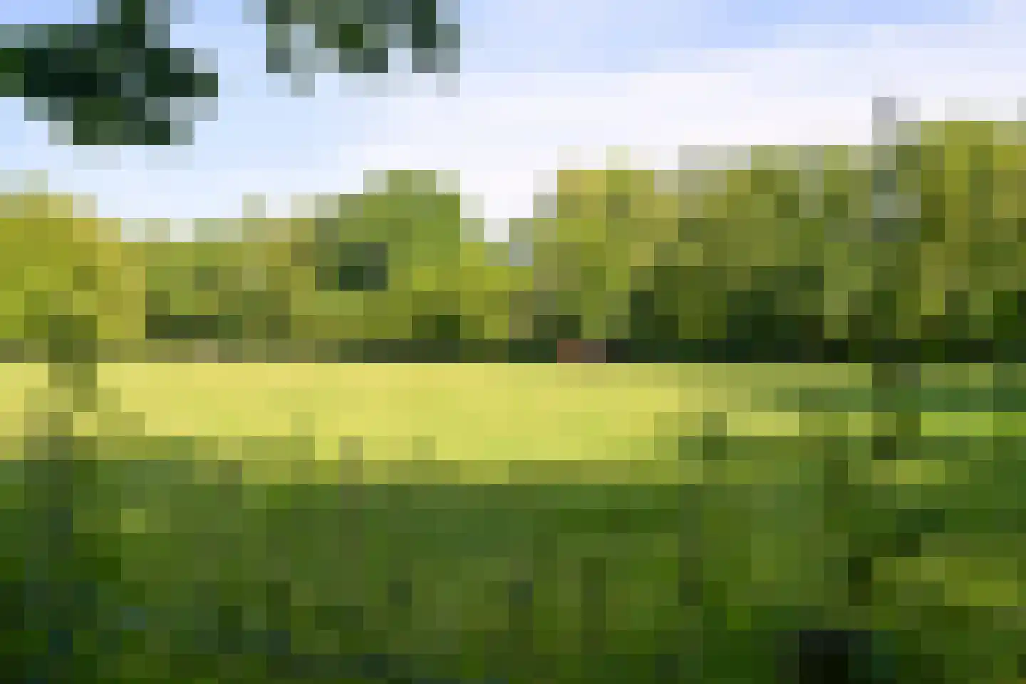 Laan van Clingendael 23 Den Haag thumbnail 48