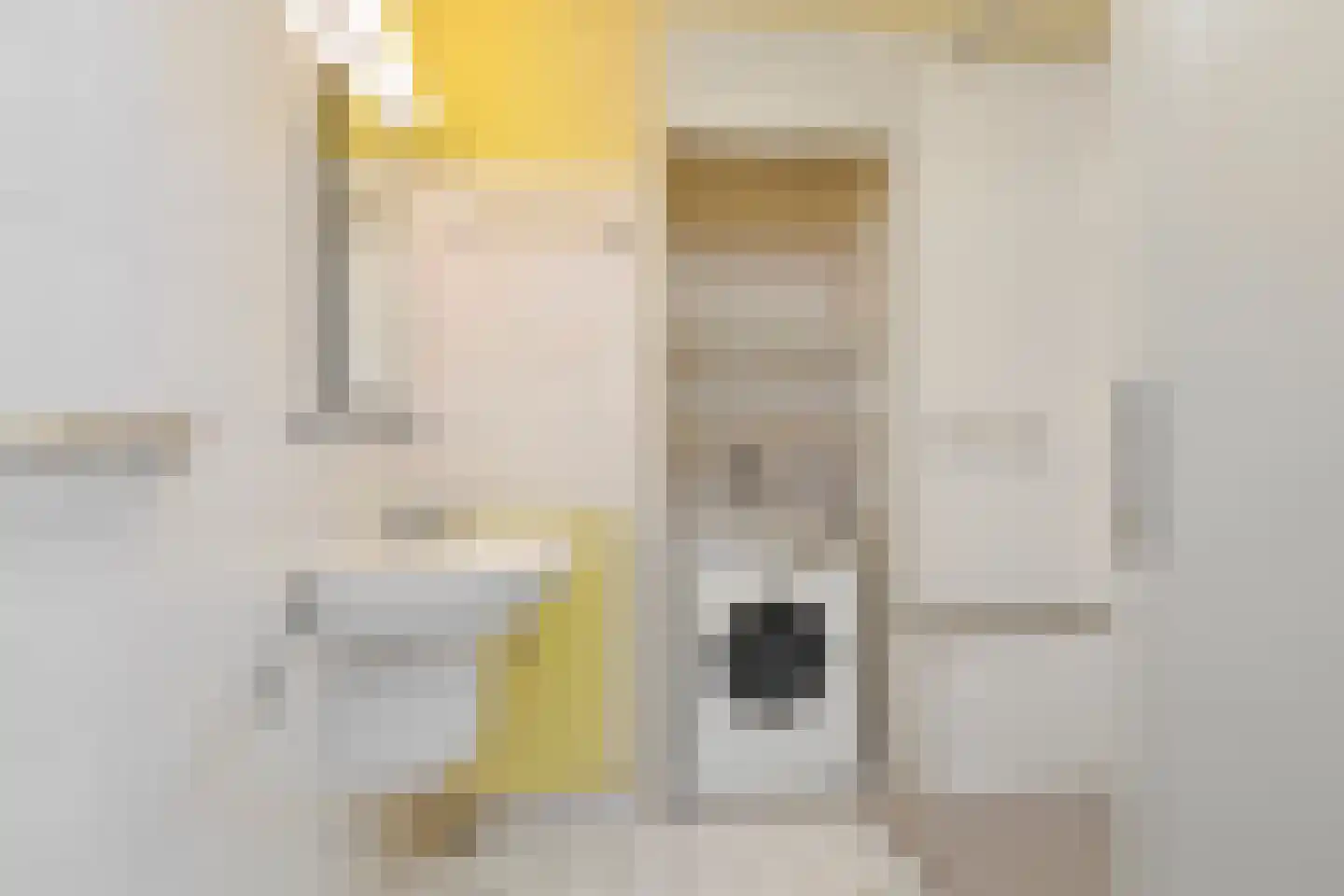 Laan van Clingendael 43 Den Haag thumbnail 11