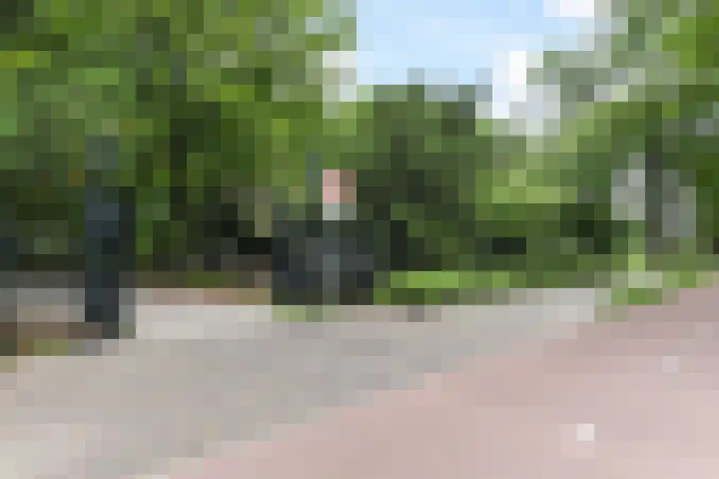Laan van Clingendael 43 Den Haag thumbnail 14