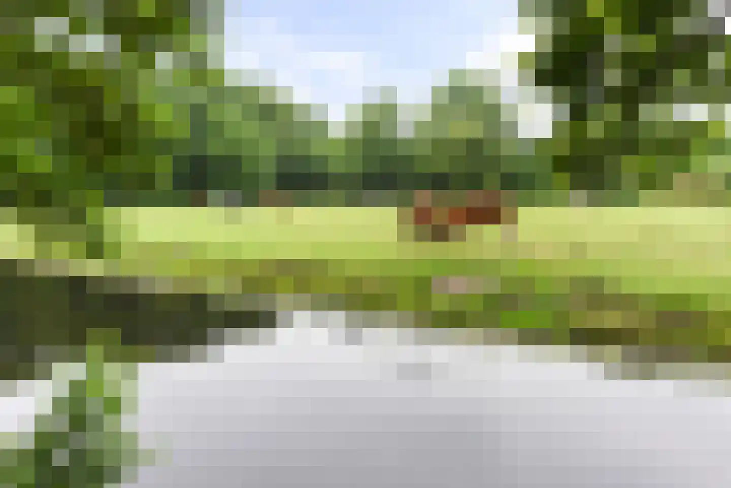 Laan van Clingendael 43 Den Haag thumbnail 15