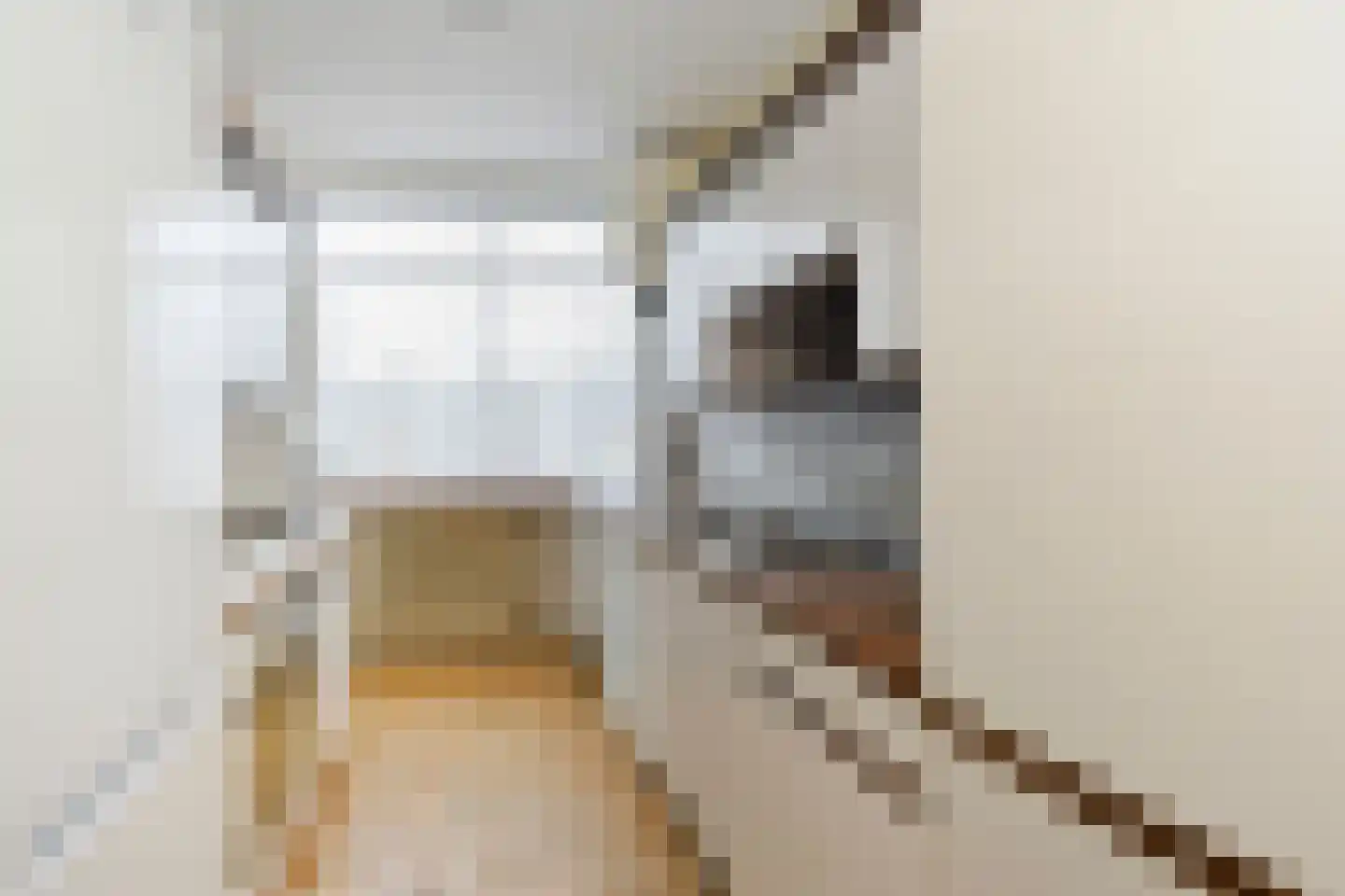 Laan van Clingendael 43 Den Haag thumbnail 9