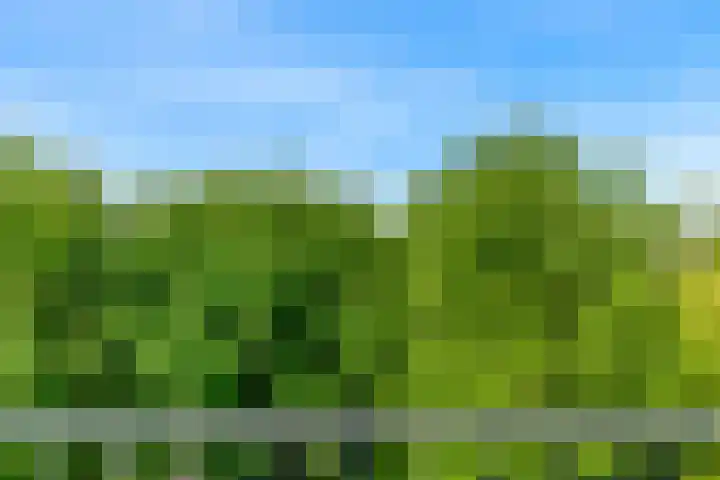 Laan van Clingendael 44 Den Haag thumbnail 10