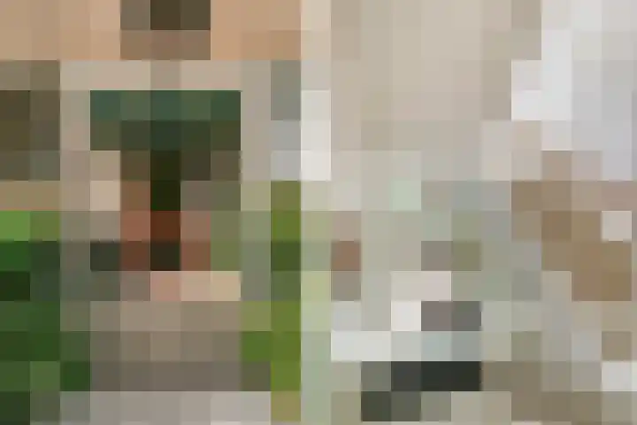 Laan van Clingendael 44 Den Haag thumbnail 28