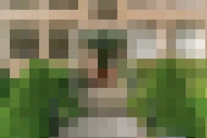 Laan van Clingendael 44 Den Haag thumbnail 29