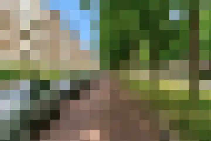 Laan van Clingendael 44 Den Haag thumbnail 30