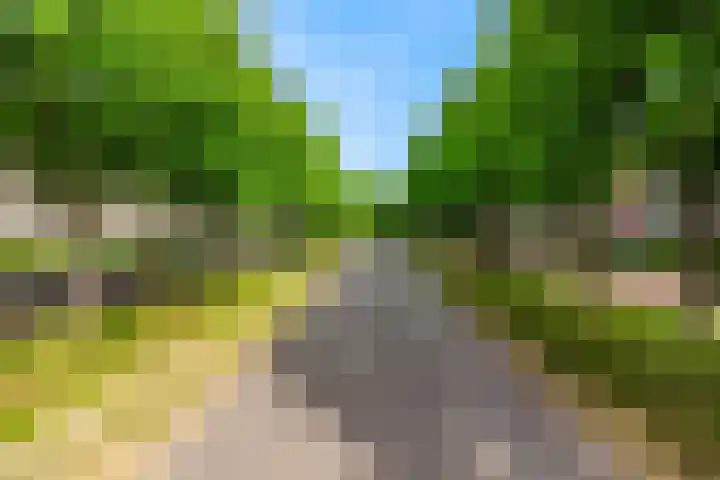 Laan van Clingendael 44 Den Haag thumbnail 32