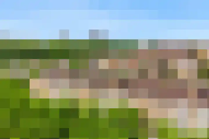 Laan van Clingendael 44 Den Haag thumbnail 33