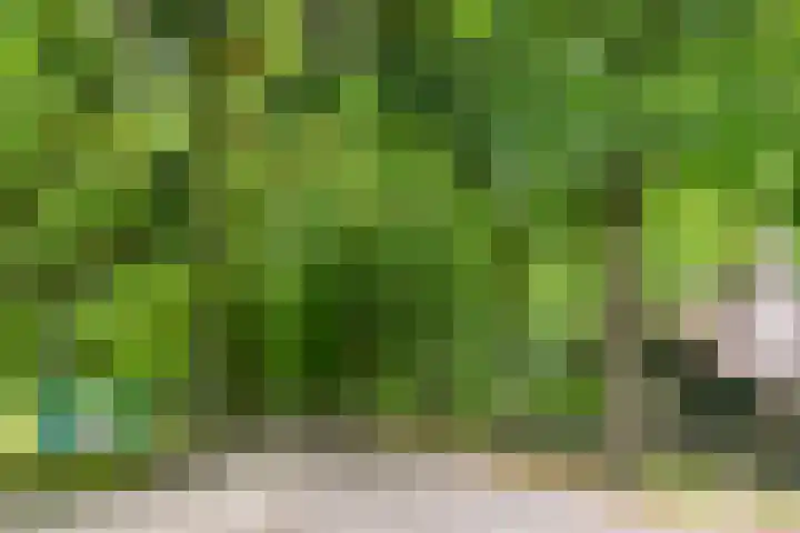 Laan van Clingendael 44 Den Haag thumbnail 34