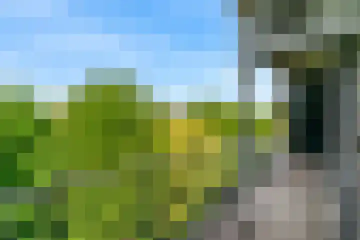 Laan van Clingendael 44 Den Haag thumbnail 9