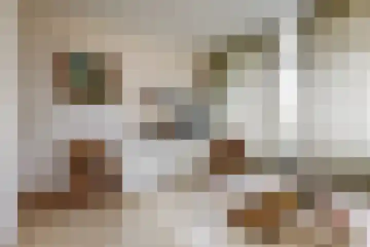 Laan van Clingendael 52 Den Haag thumbnail 17