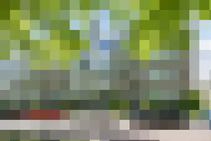 Laan van Clingendael 84 in Den Haag