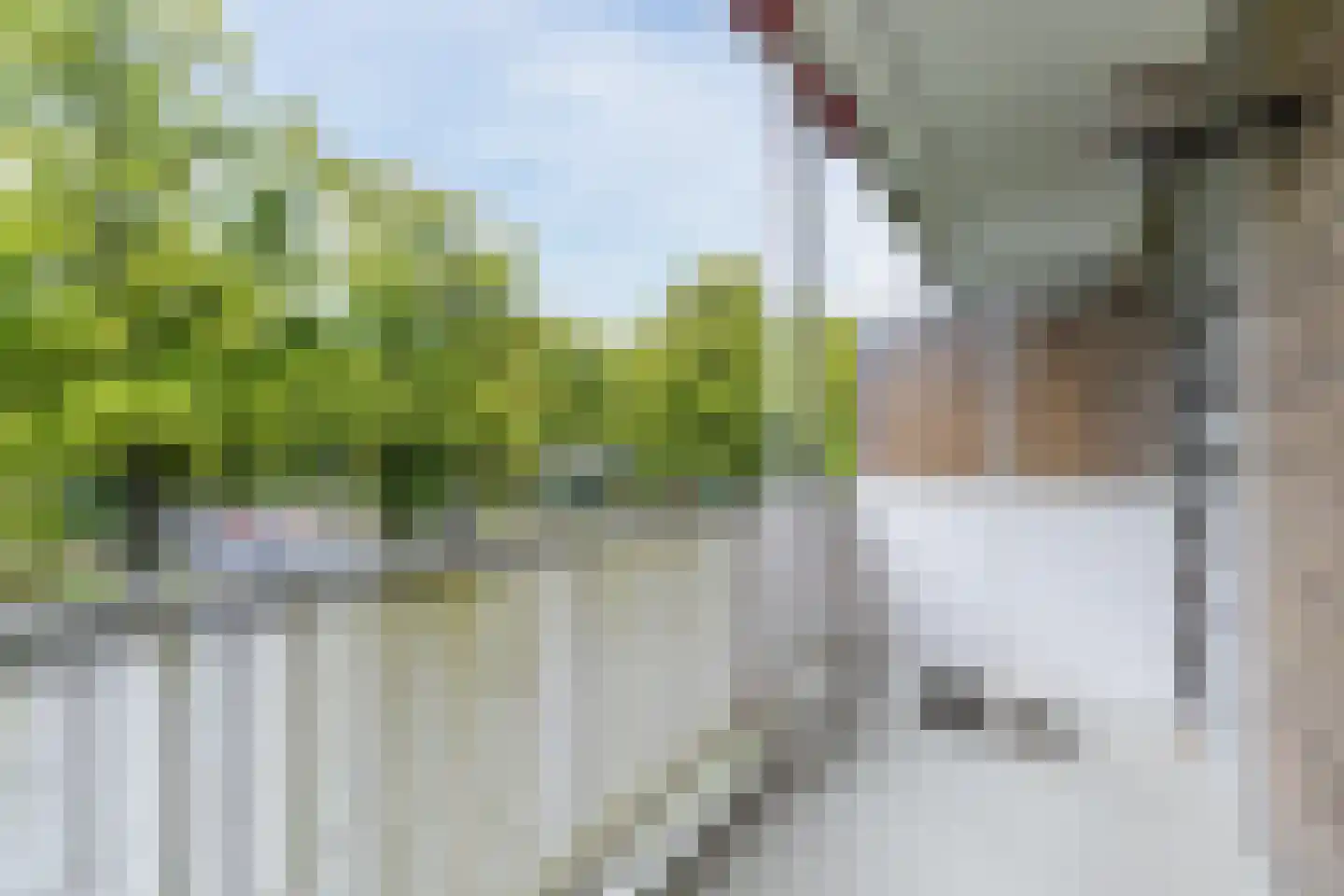 Laan van Clingendael 85 Den Haag thumbnail 14