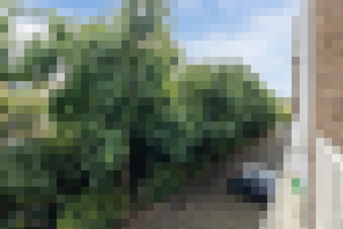 Laan van Clingendael 85 Den Haag thumbnail 24