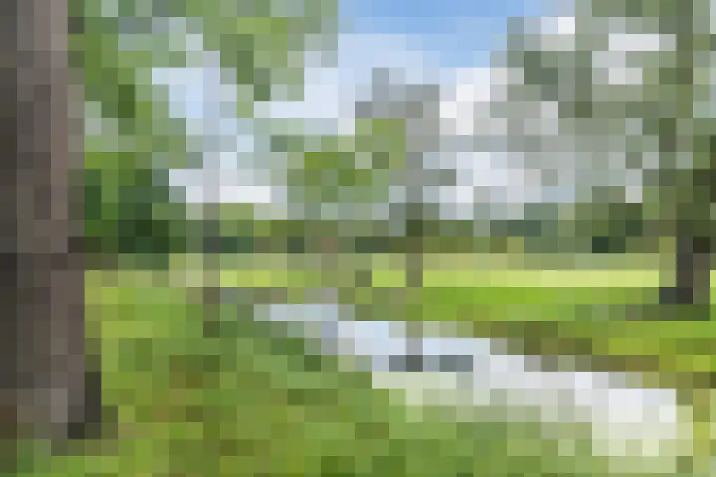 Laan van Clingendael 85 Den Haag thumbnail 46