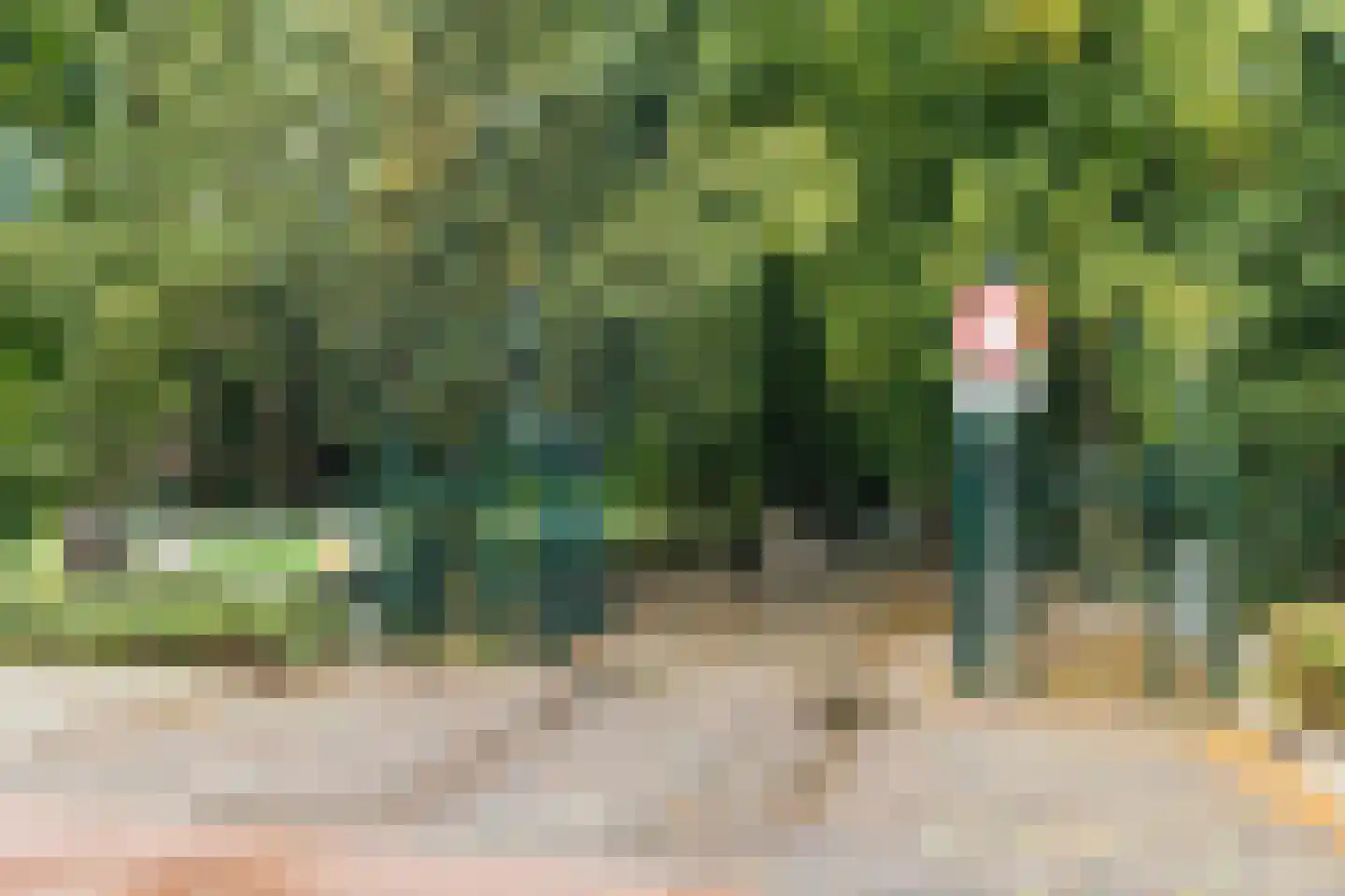 Laan van Clingendael 85 Den Haag thumbnail 47
