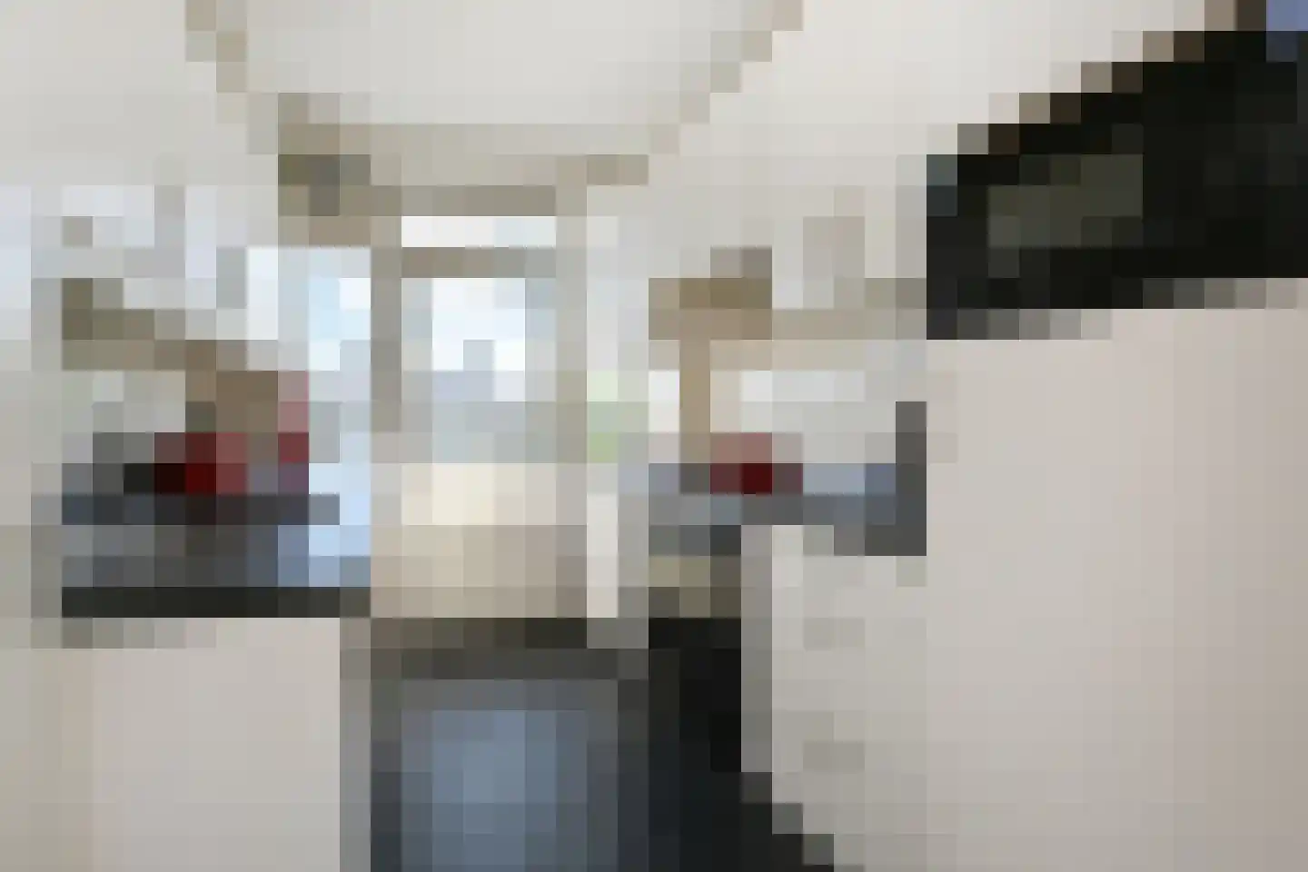 Laan van Clingendael 97 Den Haag thumbnail 12