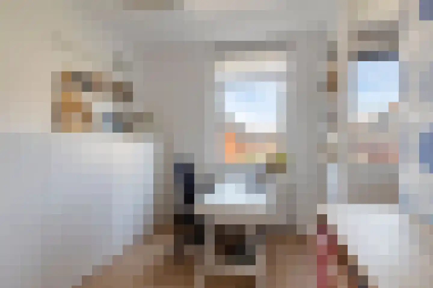 Laan van Dada 104 Rotterdam thumbnail 16