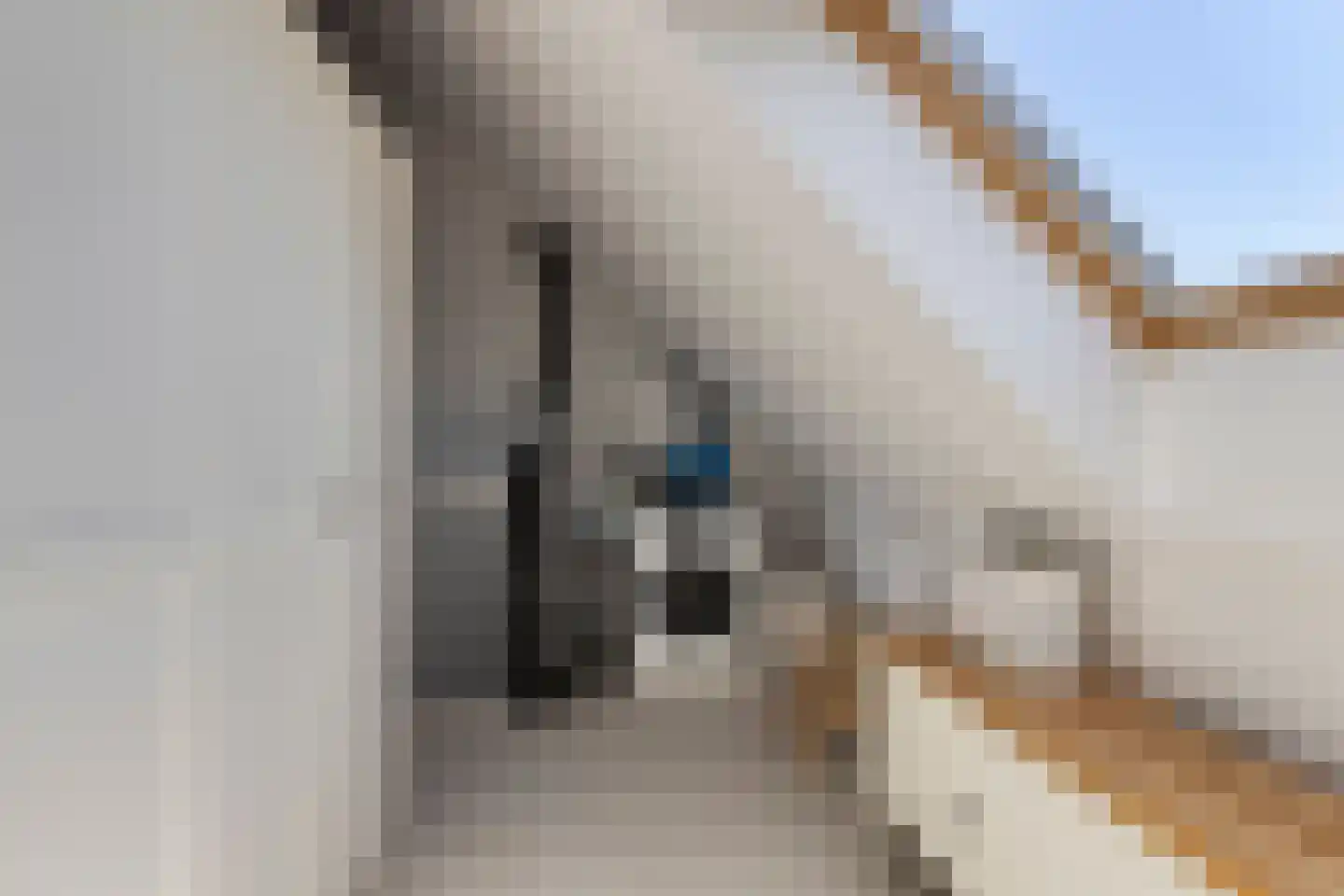 Laan van Dada 104 Rotterdam thumbnail 23