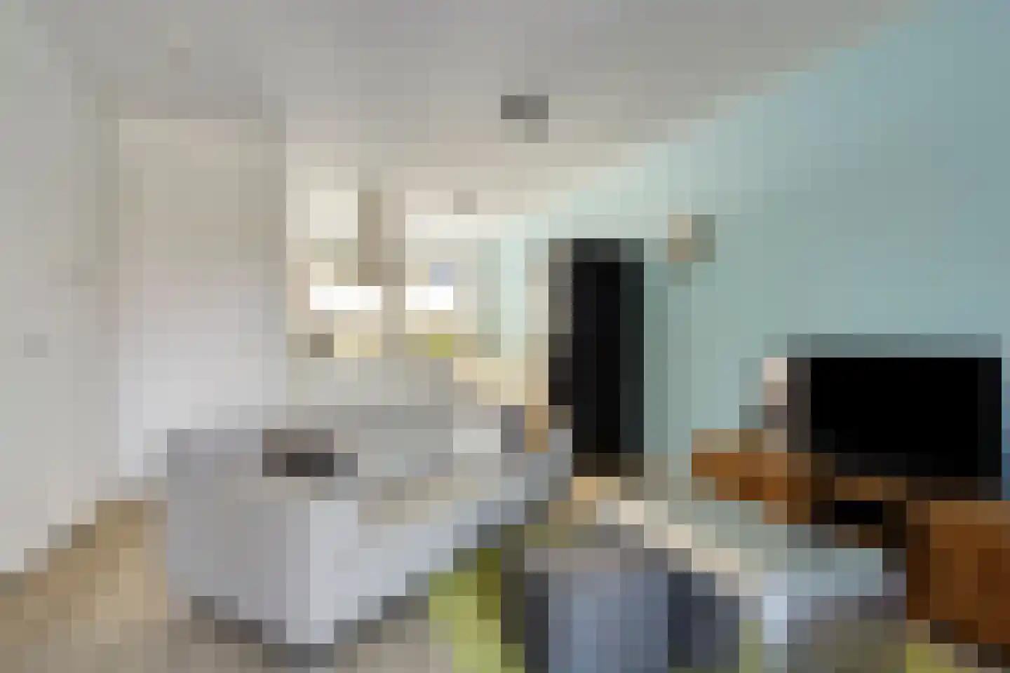 Laan van Dada 104 Rotterdam thumbnail 6