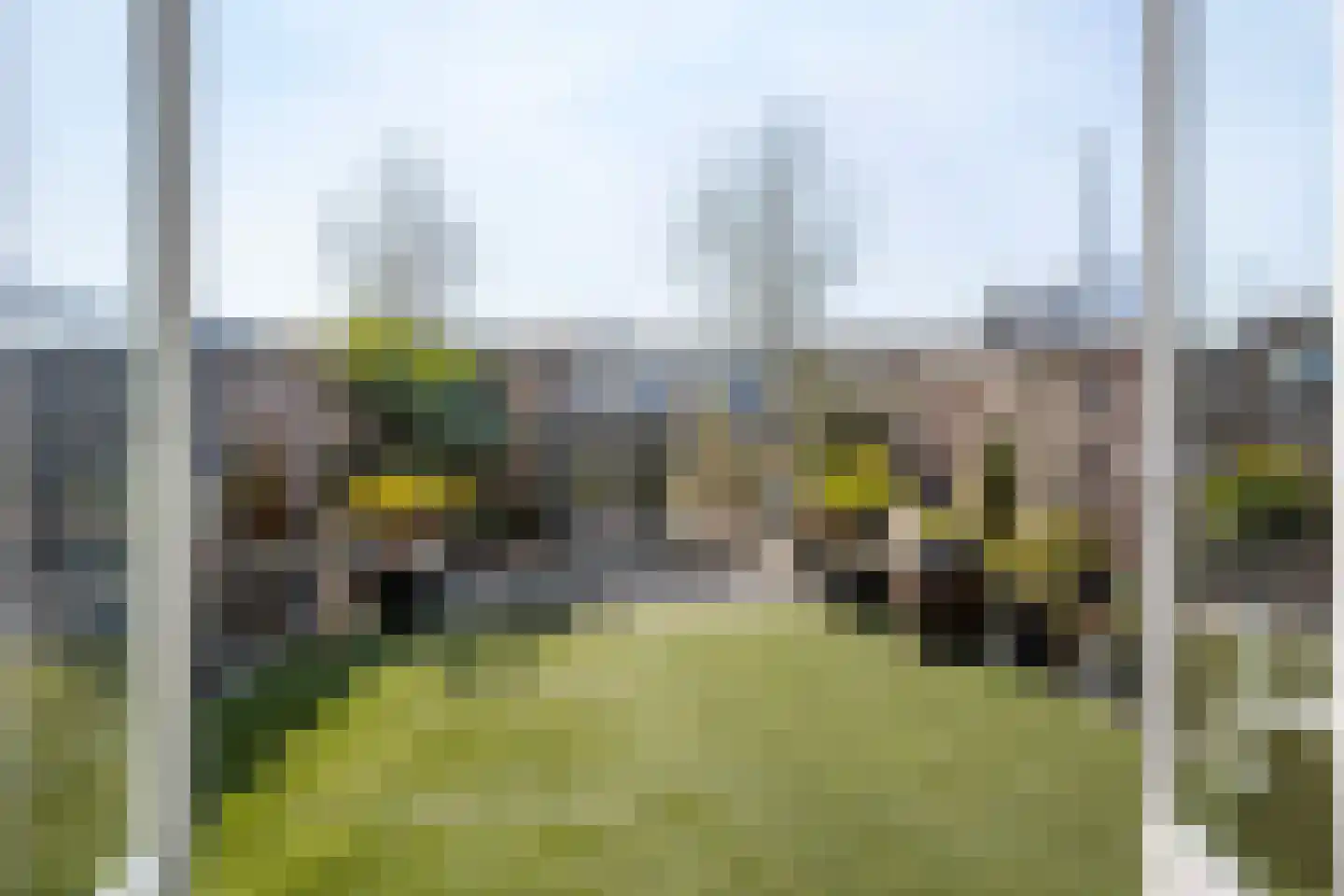 Laan van Dada 107 Rotterdam thumbnail 28