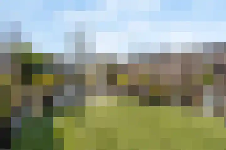Laan van Dada 107 Rotterdam thumbnail 29