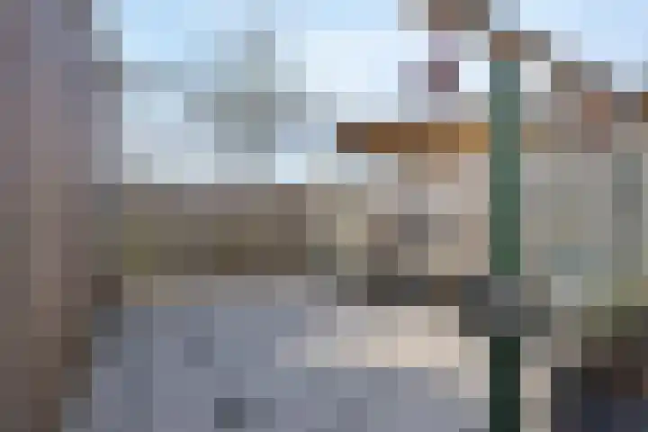 Laan van Dada 107 Rotterdam thumbnail 30