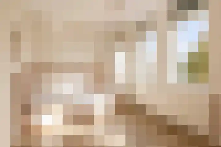 Laan van Dada 44 Rotterdam thumbnail 16