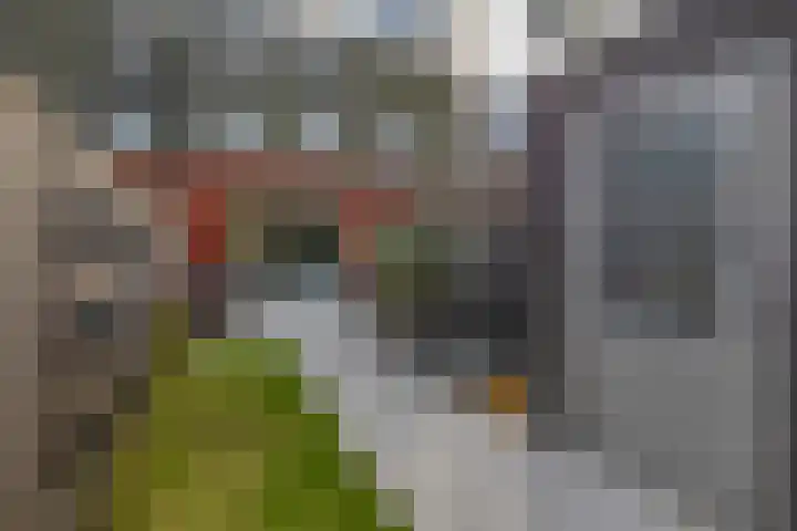 Laan van Dada 44 Rotterdam thumbnail 27