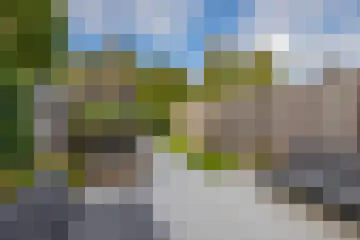 Laan van Dada 44 Rotterdam thumbnail 29