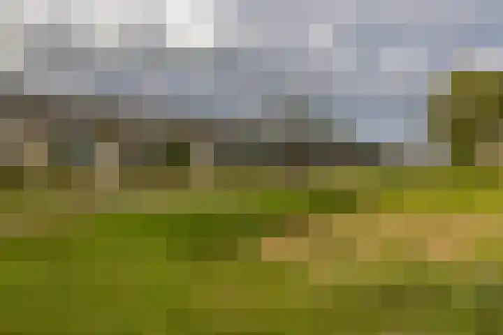 Laan van Dada 44 Rotterdam thumbnail 33