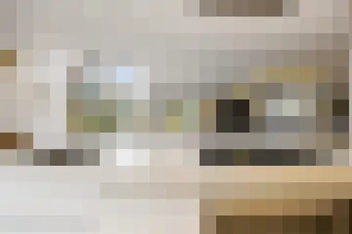 Laan van de 17e september 10 Arnhem thumbnail 10