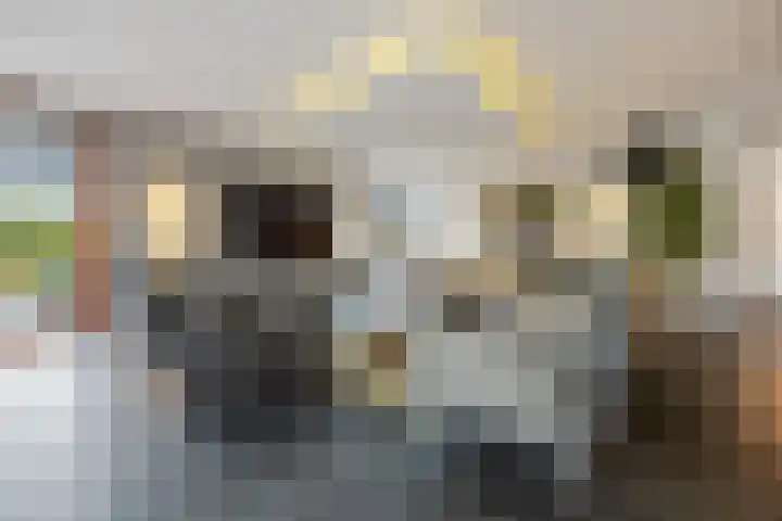 Laan van de 17e september 10 Arnhem thumbnail 14