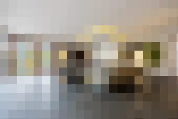 Laan van de 17e september 10 Arnhem thumbnail 15