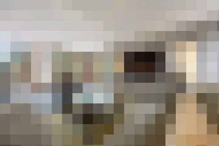 Laan van de 17e september 10 Arnhem thumbnail 18