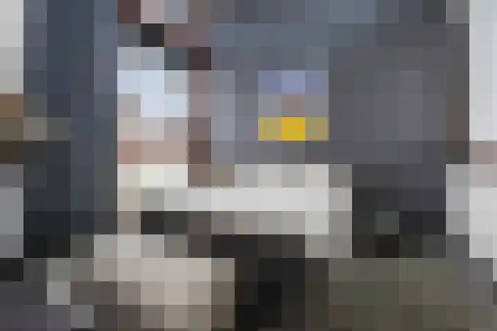 Laan van de 17e september 10 Arnhem thumbnail 27