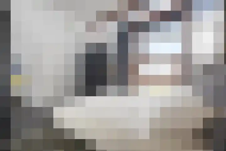 Laan van de 17e september 10 Arnhem thumbnail 28