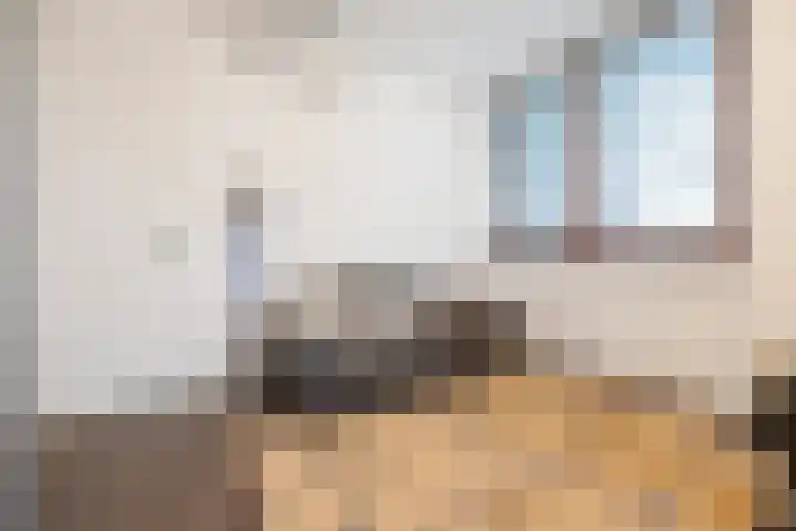 Laan van de 17e september 10 Arnhem thumbnail 41