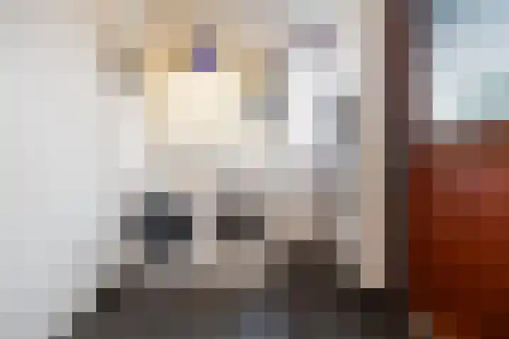 Laan van de 17e september 10 Arnhem thumbnail 46