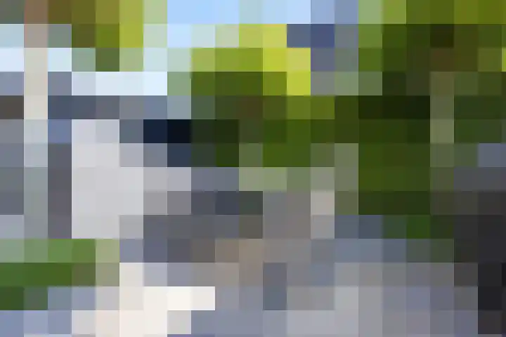 Laan van de 17e september 10 Arnhem thumbnail 48