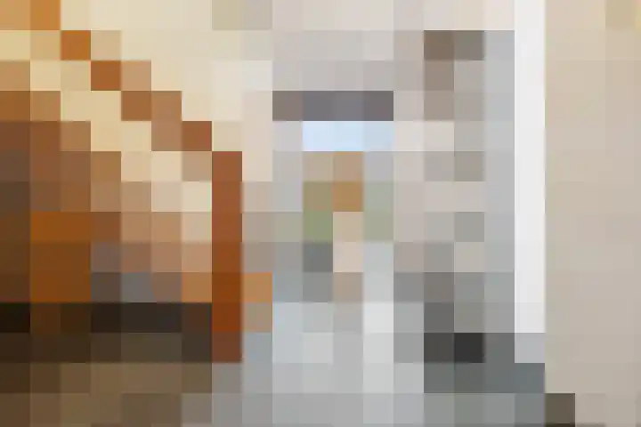 Laan van de 17e september 10 Arnhem thumbnail 5
