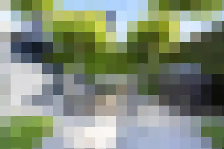 Laan van de 17e september 10 Arnhem thumbnail 50