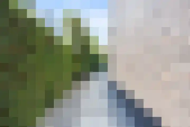 Laan van de 17e september 10 Arnhem thumbnail 51