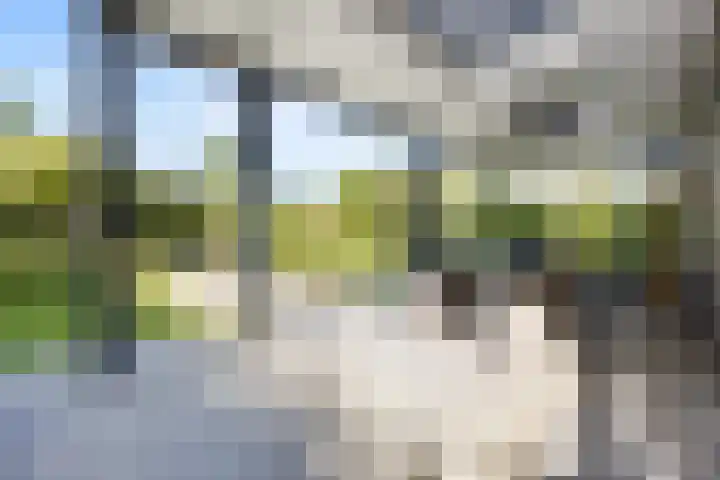 Laan van de 17e september 10 Arnhem thumbnail 53