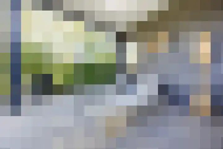 Laan van de 17e september 10 Arnhem thumbnail 55