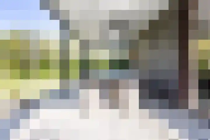 Laan van de 17e september 10 Arnhem thumbnail 56