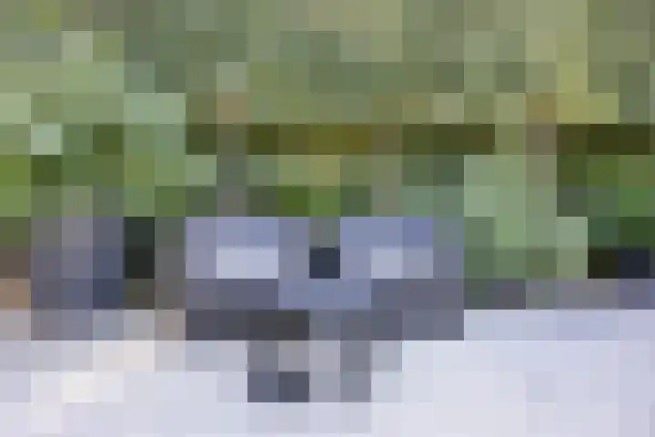 Laan van de 17e september 10 Arnhem thumbnail 57