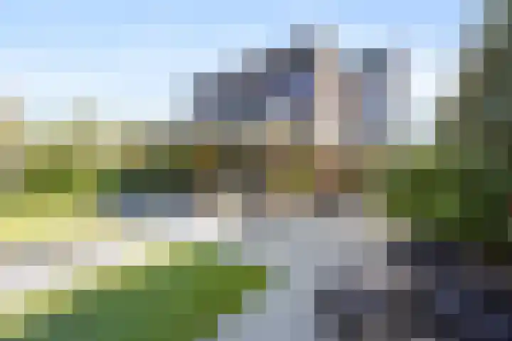 Laan van de 17e september 10 Arnhem thumbnail 58