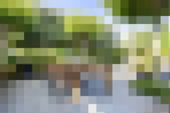 Laan van de 17e september 10 Arnhem thumbnail 59