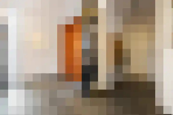 Laan van de 17e september 10 Arnhem thumbnail 6